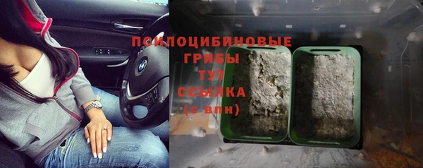 a pvp Абдулино