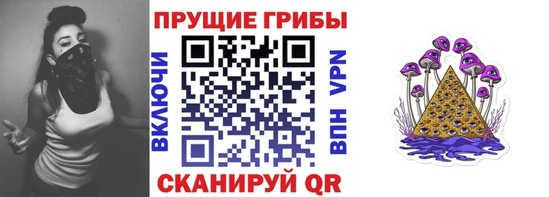 Псилоцибиновые грибы Cubensis  закладка  Усть-Катав 